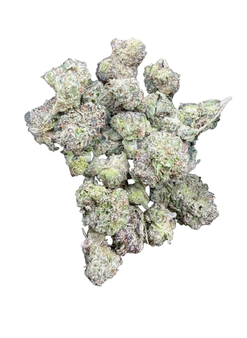 Gelato King (smalls)